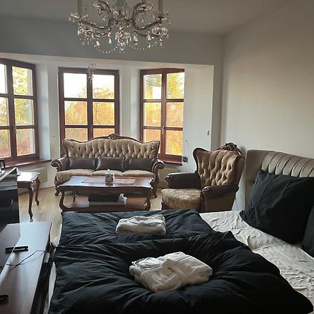 Horni Bezdekov Dogs Resort And Spa المظهر الخارجي الصورة