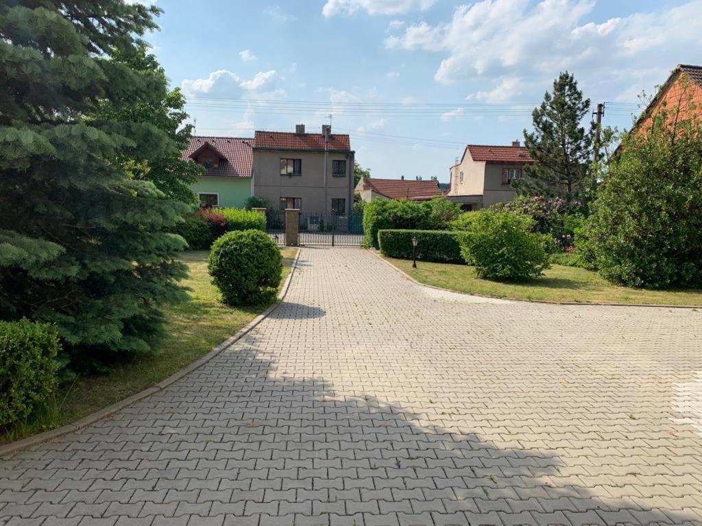 Horni Bezdekov Dogs Resort And Spa المظهر الخارجي الصورة